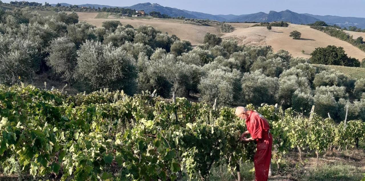 Agriturismo Santa Chiara Помаранче Екстер'єр фото